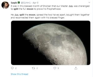 Хоста moon split фото и описание